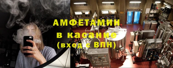 гидра Аркадак