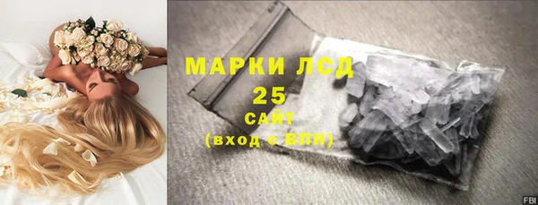 гидра Аркадак