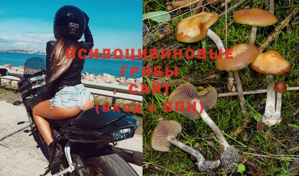 гидра Аркадак