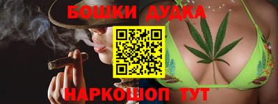 spice Новодвинск