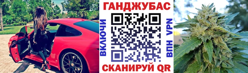 как найти наркотики  Строитель  Шишки марихуана сатива 
